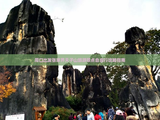 周口出发张家界天子山旅游景点自由行攻略指南 周口出发张家界天子山旅游景点自由行攻略指南