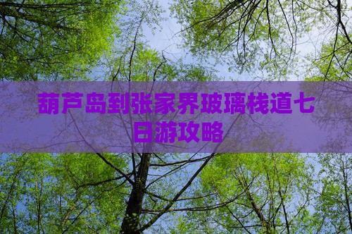 葫芦岛到张家界玻璃栈道七日游攻略