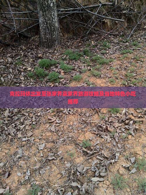 克拉玛依出发至张家界袁家界旅游攻略及当地特色小吃推荐