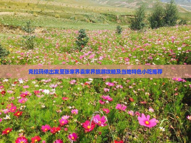 克拉玛依出发至张家界袁家界旅游攻略及当地特色小吃推荐