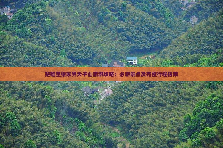 楚雄至张家界天子山旅游攻略：必游景点及完整行程指南