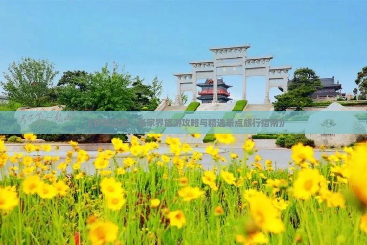 《伊犁出发：张家界旅游攻略与精选景点旅行指南》