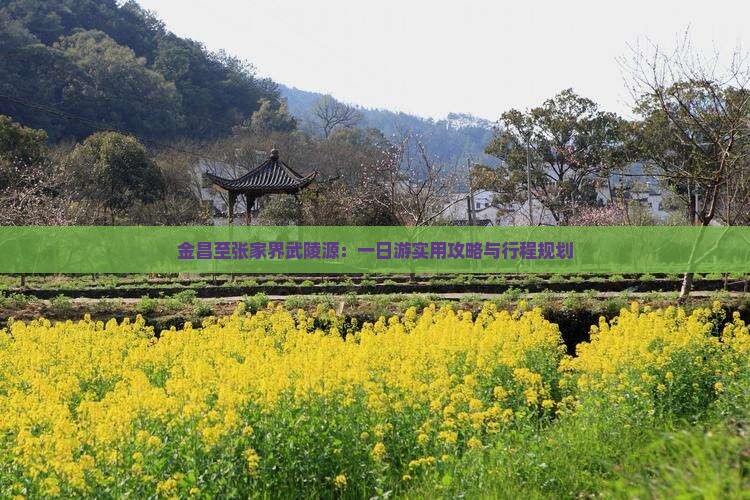 金昌至张家界武陵源：一日游实用攻略与行程规划