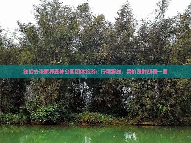 铁岭去张家界森林公园团体旅游：行程路线、票价及时刻表一览