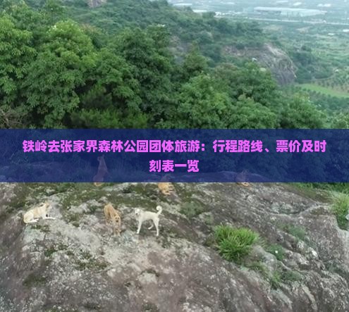 铁岭去张家界森林公园团体旅游：行程路线、票价及时刻表一览