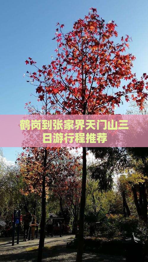 鹤岗到张家界天门山三日游行程推荐