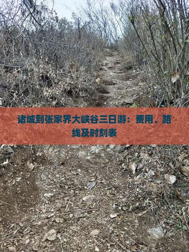 诸城到张家界大峡谷三日游：费用、路线及时刻表