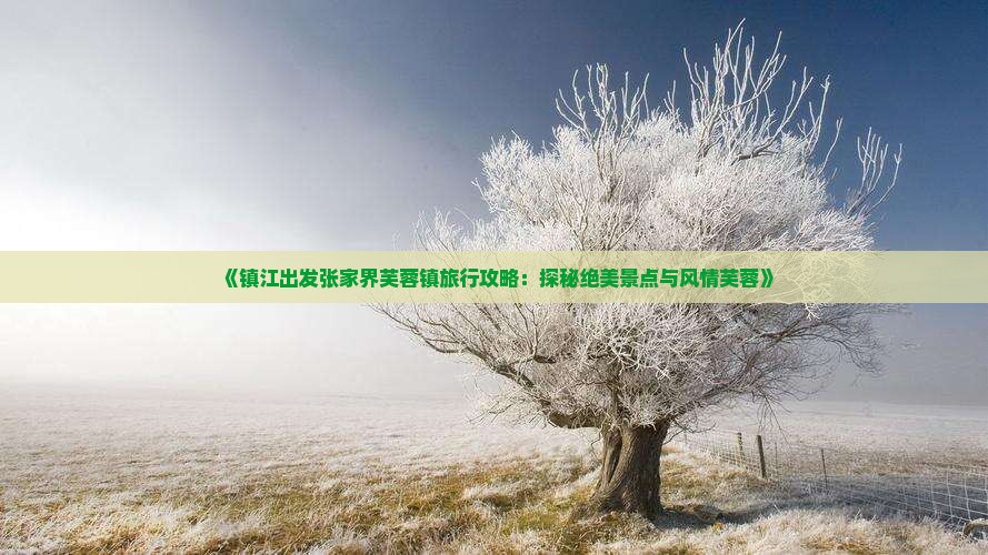 《镇江出发张家界芙蓉镇旅行攻略：探秘绝美景点与风情芙蓉》