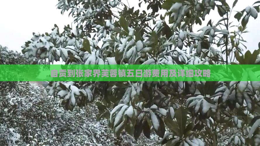自贡到张家界芙蓉镇五日游费用及详细攻略