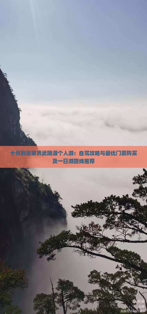 十月到张家界武陵源个人游：自驾攻略与最优门票购买及一日游路线推荐