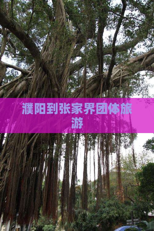 濮阳到张家界团体旅游