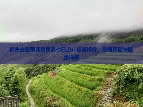 郴州去张家界袁家界七日游：旅游报价、攻略及最快路线详解