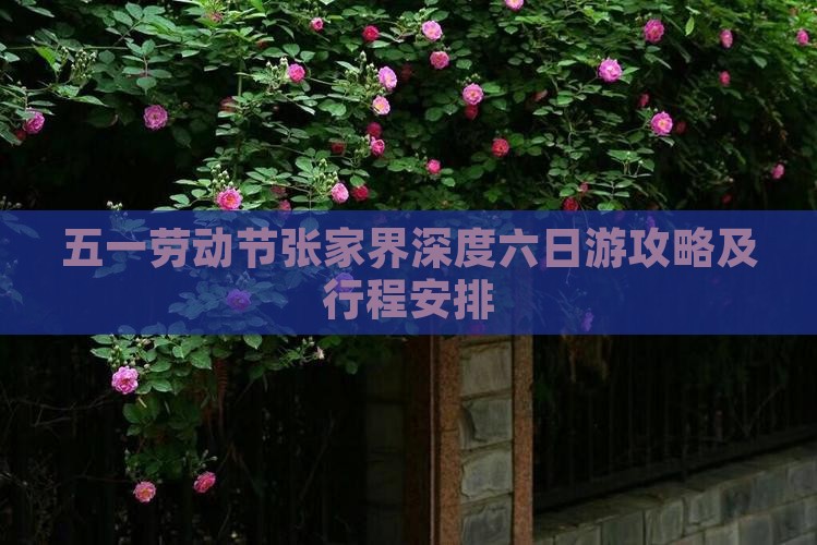 五一劳动节张家界深度六日游攻略及行程安排