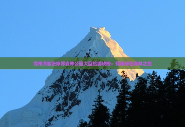 鄂州游客张家界森林公园大型旅游攻略：探秘绿色森林之旅