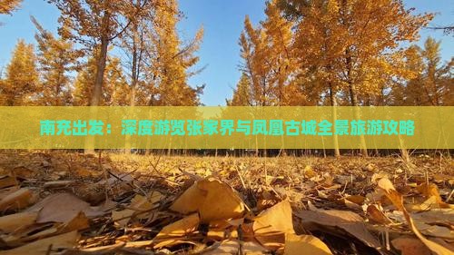 南充出发：深度游览张家界与凤凰古城全景旅游攻略