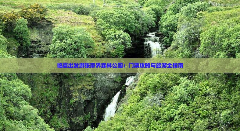 临夏出发游张家界森林公园：门票攻略与旅游全指南