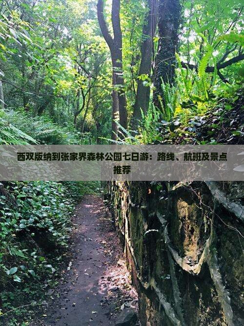 西双版纳到张家界森林公园七日游：路线、航班及景点推荐