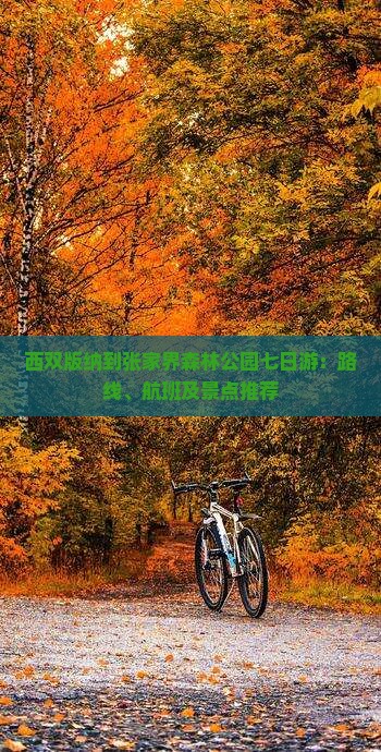 西双版纳到张家界森林公园七日游：路线、航班及景点推荐