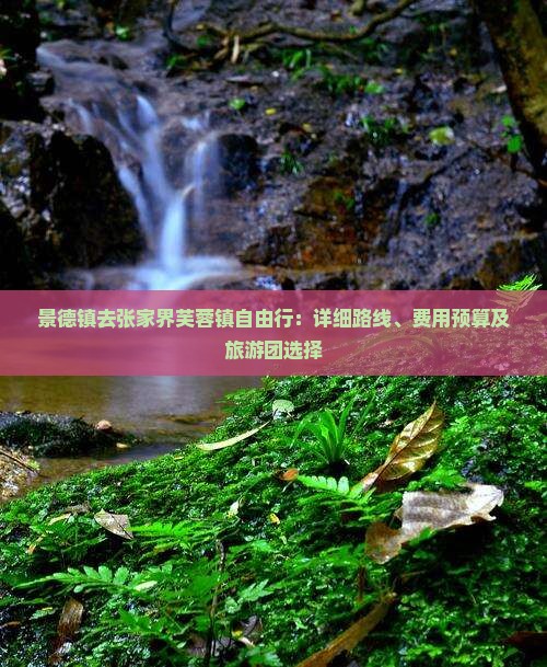 景德镇去张家界芙蓉镇自由行：详细路线、费用预算及旅游团选择