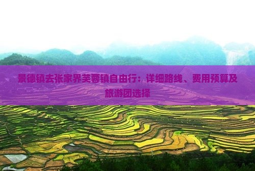 景德镇去张家界芙蓉镇自由行：详细路线、费用预算及旅游团选择