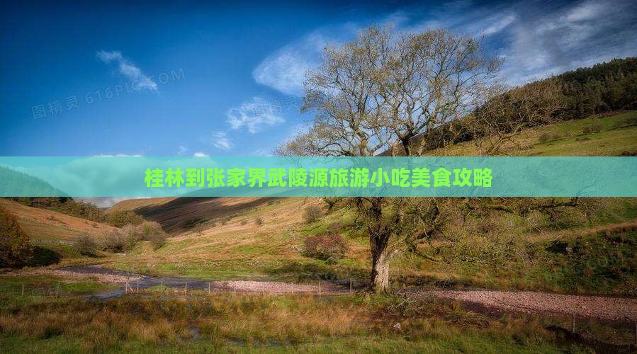 桂林到张家界武陵源旅游小吃美食攻略