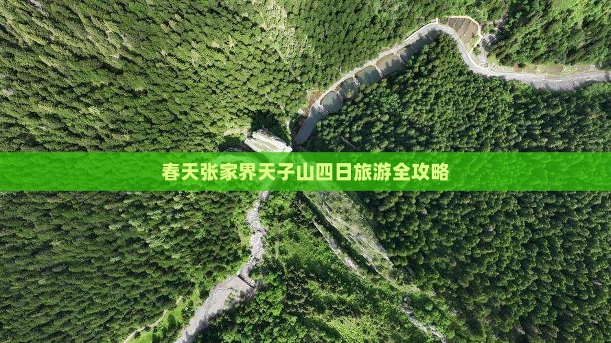 春天张家界天子山四日旅游全攻略