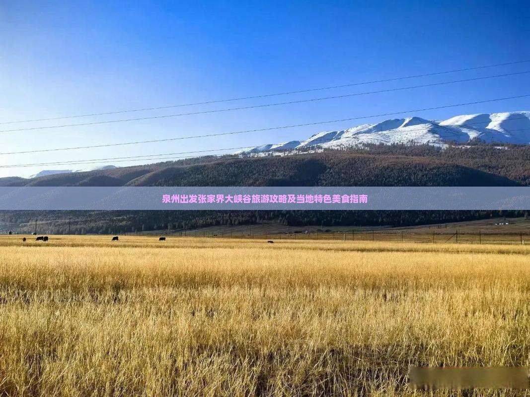 泉州出发张家界大峡谷旅游攻略及当地特色美食指南