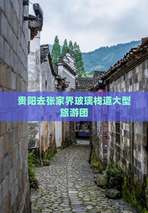 贵阳去张家界玻璃栈道大型旅游团