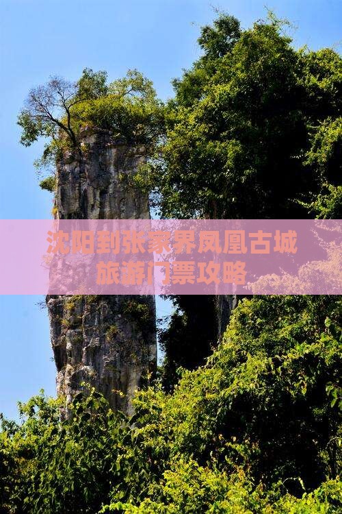沈阳到张家界凤凰古城旅游门票攻略