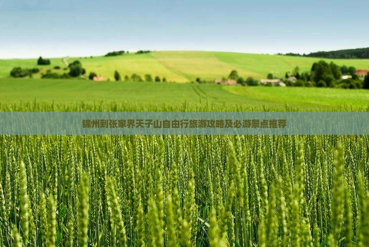 锦州到张家界天子山自由行旅游攻略及必游景点推荐