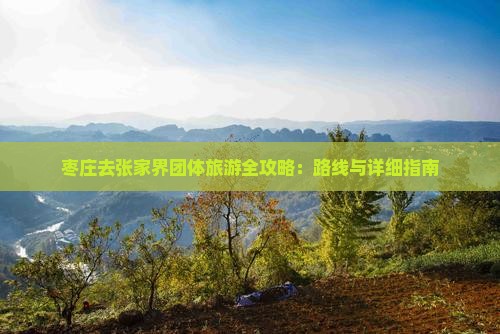 枣庄去张家界团体旅游全攻略：路线与详细指南