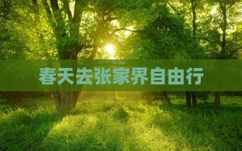 春天去张家界自由行
