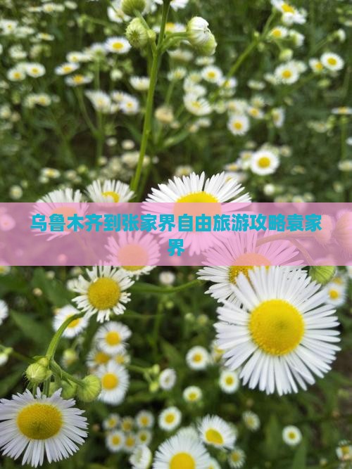 乌鲁木齐到张家界自由旅游攻略袁家界