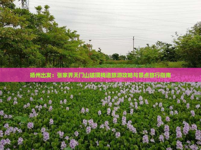 扬州出发：张家界天门山玻璃栈道旅游攻略与景点旅行指南