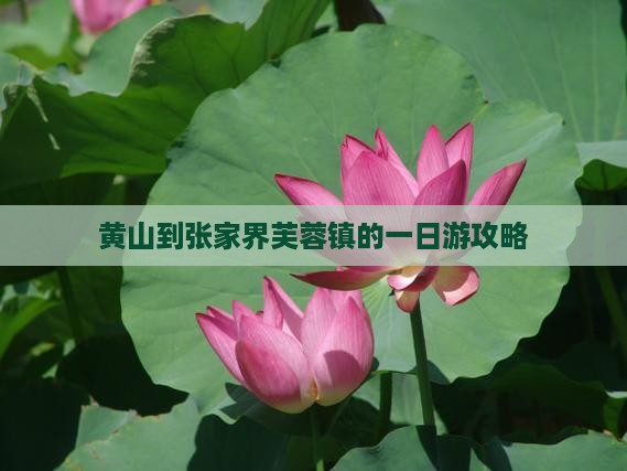黄山到张家界芙蓉镇的一日游攻略