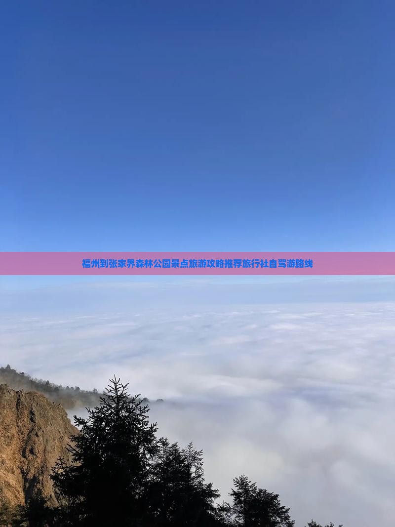 福州到张家界森林公园景点旅游攻略推荐旅行社自驾游路线
