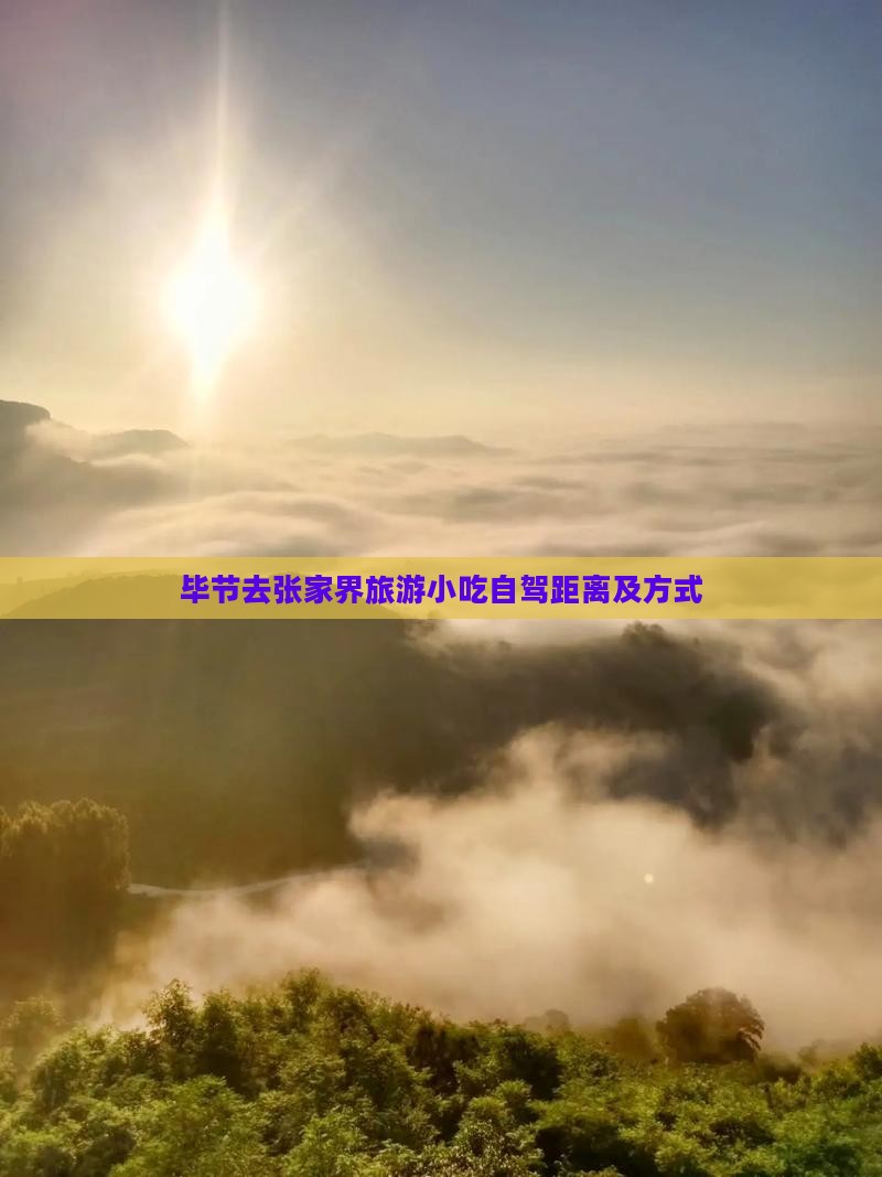 毕节去张家界旅游小吃自驾距离及方式