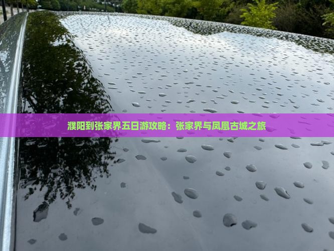 濮阳到张家界五日游攻略：张家界与凤凰古城之旅