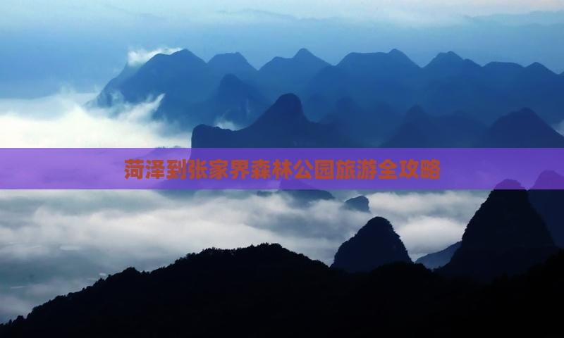 菏泽到张家界森林公园旅游全攻略