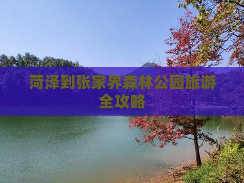 菏泽到张家界森林公园旅游全攻略