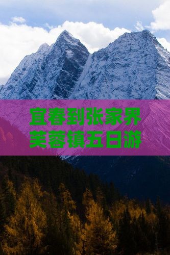 宜春到张家界芙蓉镇五日游报价及路线