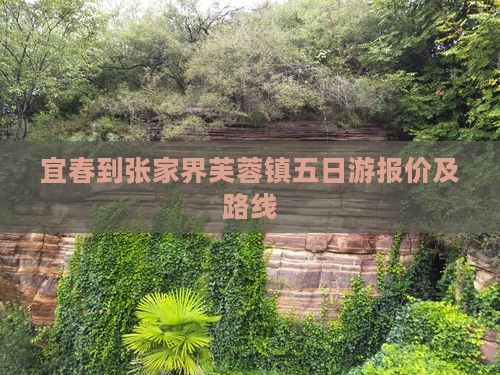 宜春到张家界芙蓉镇五日游报价及路线