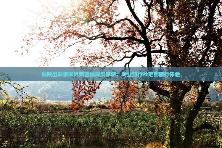 铜陵出发张家界芙蓉镇深度旅游，专业旅行社定制旅行体验
