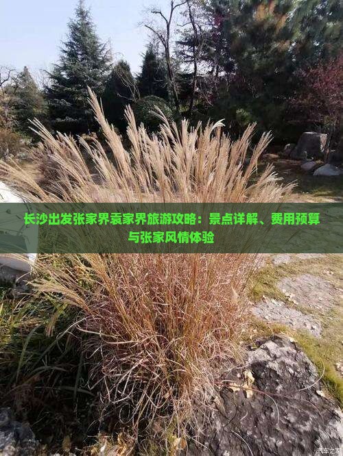 长沙出发张家界袁家界旅游攻略：景点详解、费用预算与张家风情体验