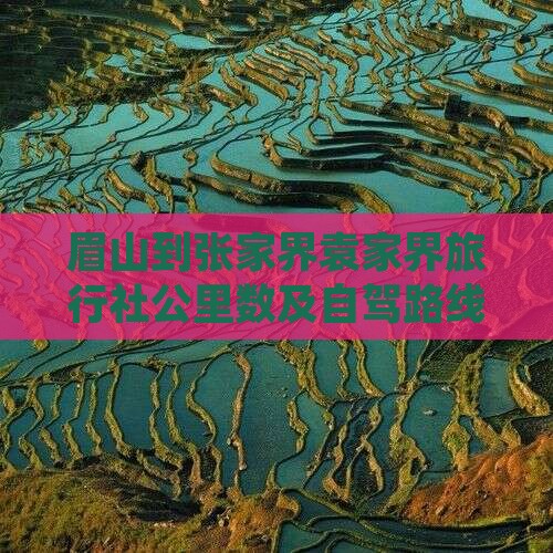 眉山到张家界袁家界旅行社公里数及自驾路线
