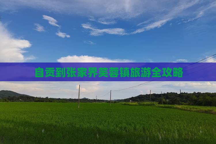 自贡到张家界芙蓉镇旅游全攻略
