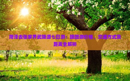 菏泽去张家界武陵源七日游：跟团游价格、交通方式及距离全解析