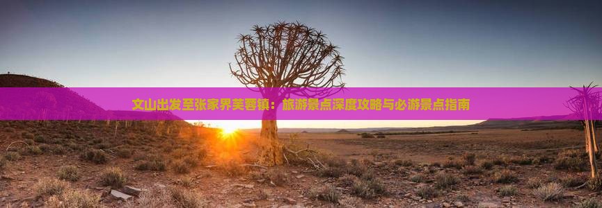 文山出发至张家界芙蓉镇：旅游景点深度攻略与必游景点指南