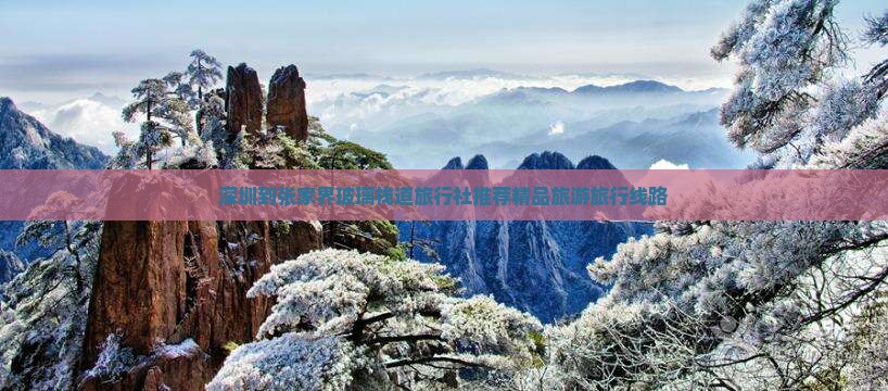 深圳到张家界玻璃栈道旅行社推荐精品旅游旅行线路
