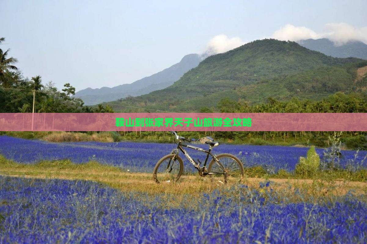 鞍山到张家界天子山旅游全攻略